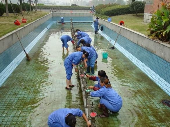 清理水池